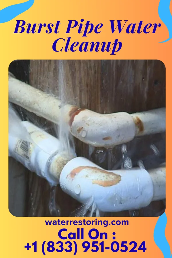 Burst Pipe Water Cleanup in Pandora, OH