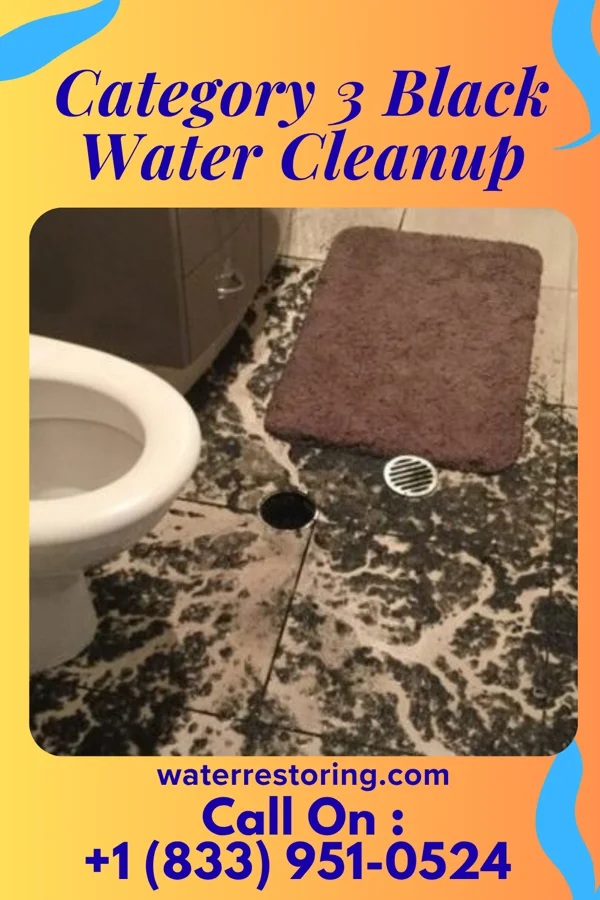 Category 3 Black Water Cleanup in Pandora, OH