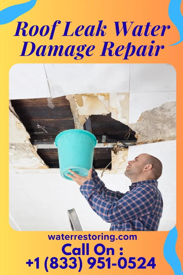 Roof Leak Water Damage Repair in Pandora, OH