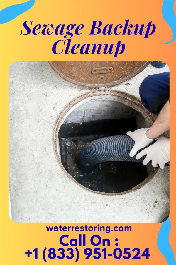 Sewage Backup Cleanup in Pandora, OH