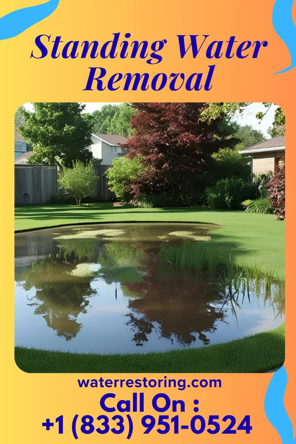 Standing Water Removal in Pandora, OH
